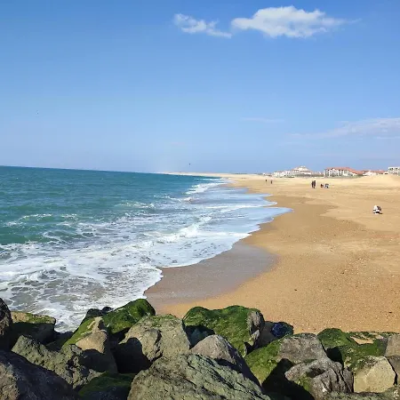 Bord De Avec Vue Port Capbreton